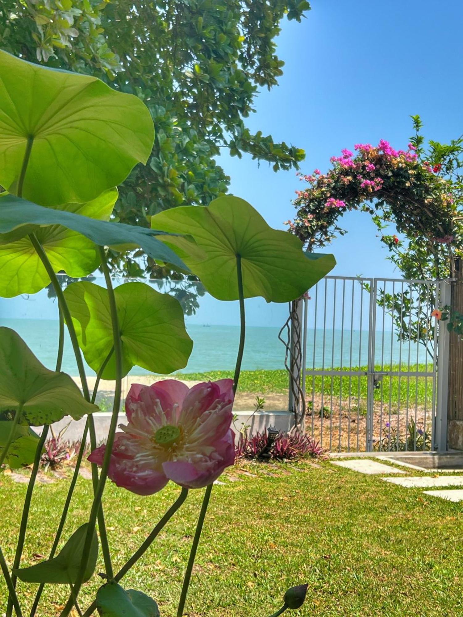 Smell Rose Beach Garden Batu Ferringhi Eksteriør bilde